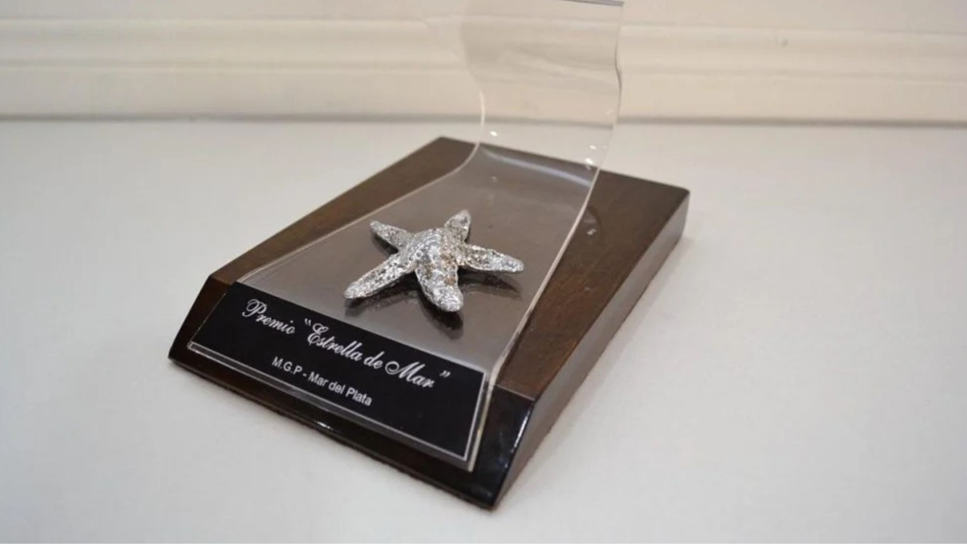 Rumbo a los Estrella de Mar 2026: Se conocieron todos los nominados